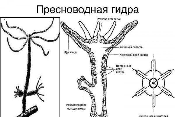 2krn сс что это такое