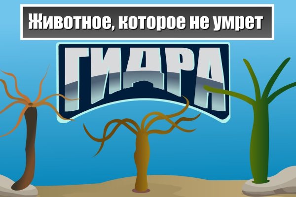 Ссылки на даркнет