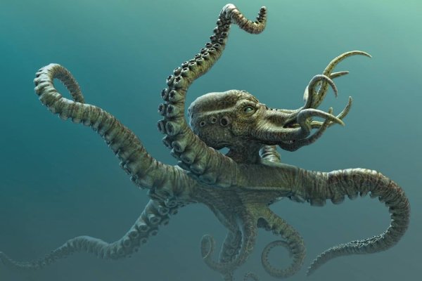 Ссылка кракен kraken torion net