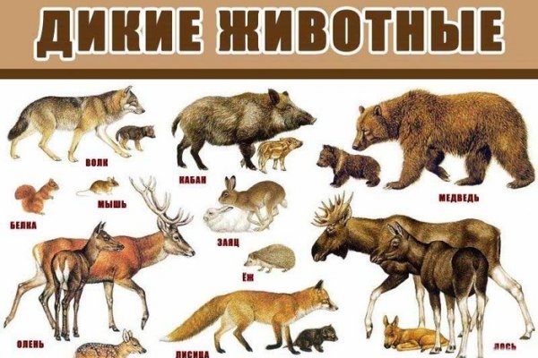 Как зайти на кракен через айфон