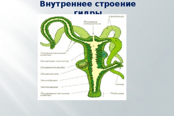 2krn cc официальный