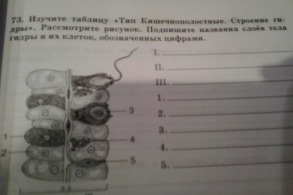 Кракен даркшоп